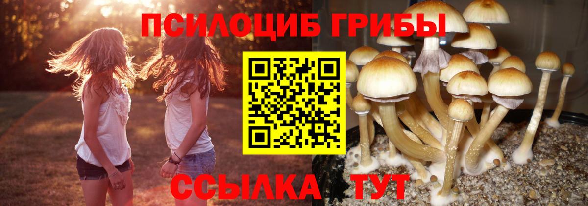 Георгиевск  Галлюциногенные грибы GOLDEN TEACHER  Вход с VPN 